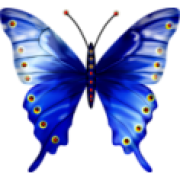 butterfly - Animals - 