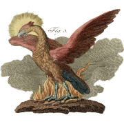 c1790s German phoenix illustration - Illustrations - 