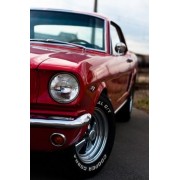 car - Vozila - 