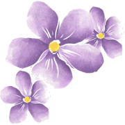Cvijet Plants Purple - Piante - 