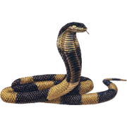 egypian cobra - 動物 - 