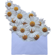 Daisies.png - 自然 - 