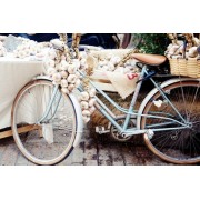 dordogne Southern France food market - 汽车 - 