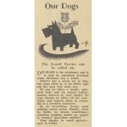 early 20th cen scottie dog article - Textos - 