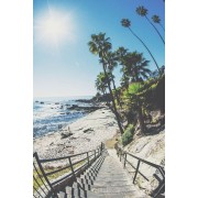 florida beach palmtrees - Moje fotografije - 