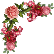 flower corner rose - Растения - 