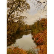 forest and river in autumn - Natur - 