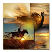 gallop - My photos - 