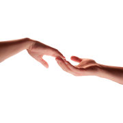hands touching delicately - Ljudi (osobe) - 