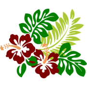 hibiscus illustration pixabay - Illustrations - 