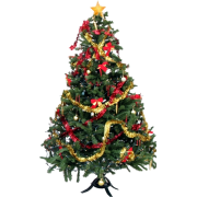 božićno drvce - Plants - 155,00kn  ~ $24.40