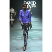 David Jones - Catwalk - 