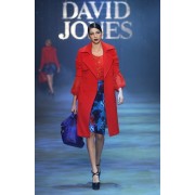 David Jones - Catwalk - 