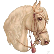 late 19th cen horse illustration - 插图 - 
