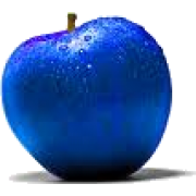 Blue Apple - Fruit - 