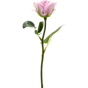pink rose flower - Uncategorized - 