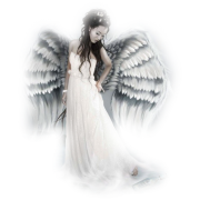 png, angel, angelo - People - 