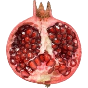 pomegranate - 食品 - 