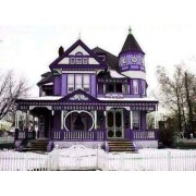 purple house - My look - 