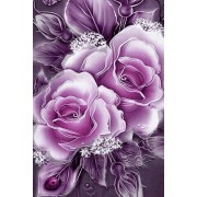 purple rose background - Иллюстрации - 