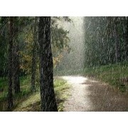 Rain - My photos - 