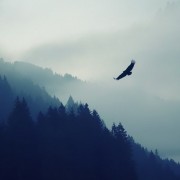 ravenclaw - Background - 