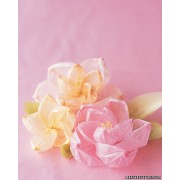 papirnato cvijece - Fundos - 