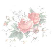 roses pozadina - Background - 600,00kn  ~ $94.45
