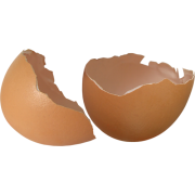 Shell Eggs - 食品 - 
