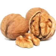 walnuts - Alimentações - 