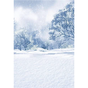 winter - Background - 