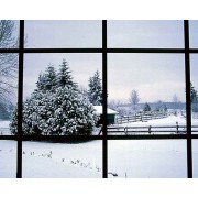 Winter - Мои фотографии - 