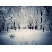 Winter - Мои фотографии - 