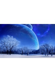 Winter night - フォトアルバム - 