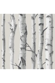 Birch Tree 18' x 20.5 - Moje fotografije - $1.63  ~ 1.40€