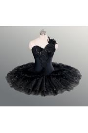 Black Swan Dress - My look - 