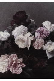 Flowers - Mis fotografías - 