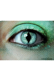 Green Snake Eye Contact - Mój wygląd - 