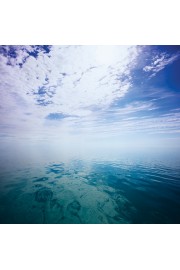 Sky Drowned In The Ocean - Minhas fotos - 