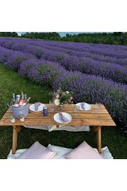 Lavender Farm Picnic - Mie foto - 