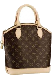 Louis Vuitton Bag - Mis fotografías - 