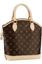 Louis Vuitton Bag - My photos - 