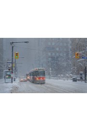 Ontario Canada winter photo - Moje fotografie - 
