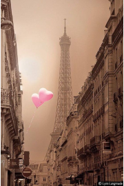 Paris Eiffel Tower photo - Mie foto - 