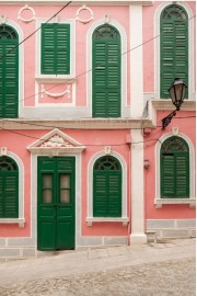 Pink and green - Moje fotografie - 