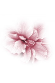 Pink flower fade - Moj look - 