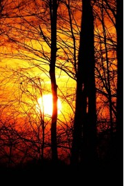 Sunset - Moje fotografie - 