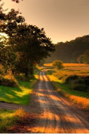 Sunset pathway - 相册 - 