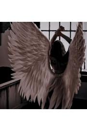 angel - Mis fotografías - 