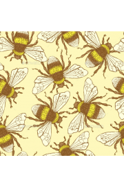 bees - My photos - 